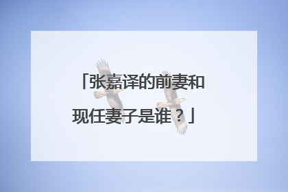 张嘉译的前妻和现任妻子是谁？