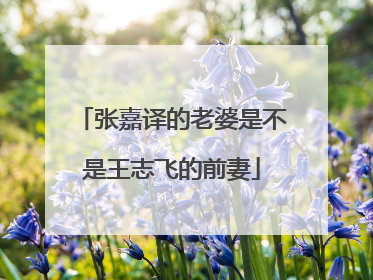 张嘉译的老婆是不是王志飞的前妻