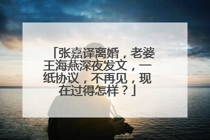 张嘉译离婚，老婆王海燕深夜发文，一纸协议，不再见，现在过得怎样？