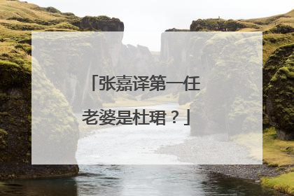 张嘉译第一任老婆是杜珺?