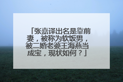 张嘉译出名是靠前妻，被称为软饭男，被二婚老婆王海燕当成宝，现状如何？