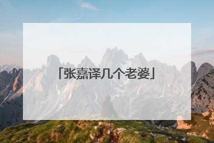 张嘉译几个老婆