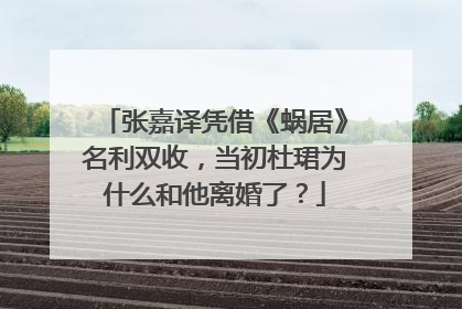 张嘉译凭借《蜗居》名利双收,当初杜珺为什么和他离婚了?