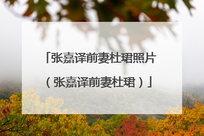 张嘉译前妻杜珺照片(张嘉译前妻杜珺)