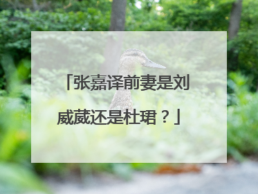 张嘉译前妻是刘威葳还是杜珺?