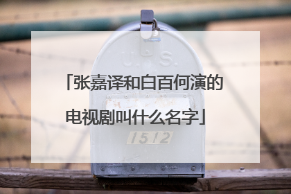 张嘉译和白百何演的电视剧叫什么名字