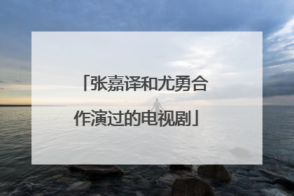 张嘉译和尤勇合作演过的电视剧