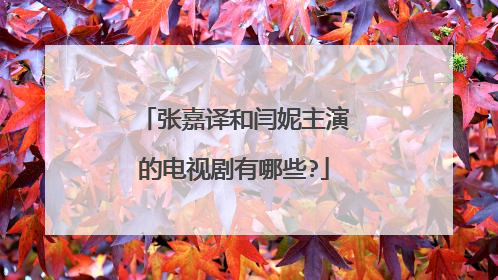 张嘉译和闫妮主演的电视剧有哪些?