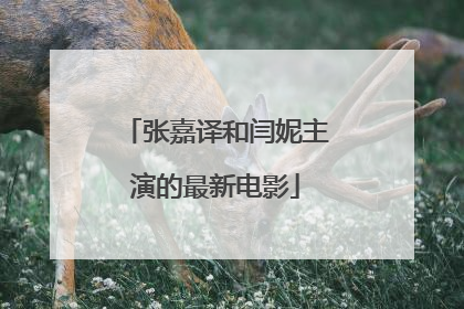 张嘉译和闫妮主演的最新电影