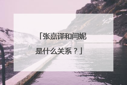 张嘉译和闫妮是什么关系?