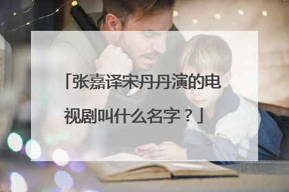 张嘉译宋丹丹演的电视剧叫什么名字？