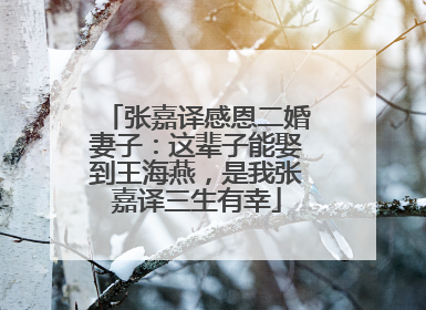 张嘉译感恩二婚妻子：这辈子能娶到王海燕，是我张嘉译三生有幸