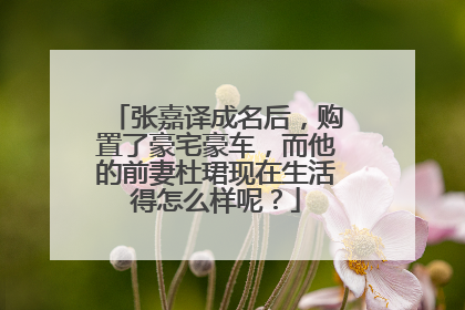 张嘉译成名后，购置了豪宅豪车，而他的前妻杜珺现在生活得怎么样呢？