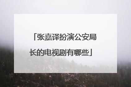 张嘉译扮演公安局长的电视剧有哪些