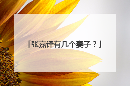 张嘉译有几个妻子?