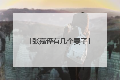 张嘉译有几个妻子