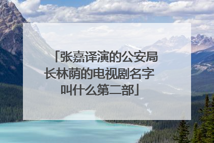 张嘉译演的公安局长林荫的电视剧名字叫什么第二部