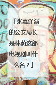 张嘉译演的公安局长是林荫这部电视剧叫什么名?