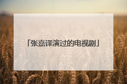 张嘉译演过的电视剧