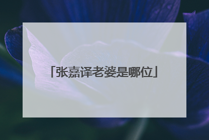 张嘉译老婆是哪位