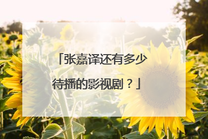 张嘉译还有多少待播的影视剧？