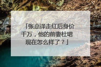 张嘉译走红后身价千万，他的前妻杜珺现在怎么样了？