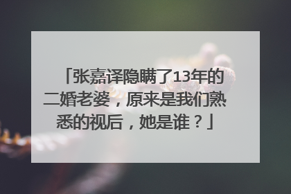 张嘉译隐瞒了13年的二婚老婆,原来是我们熟悉的视后,她是谁?