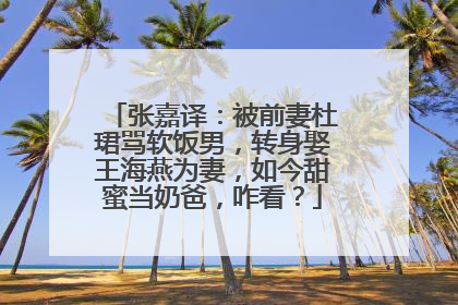 张嘉译：被前妻杜珺骂软饭男，转身娶王海燕为妻，如今甜蜜当奶爸，咋看？
