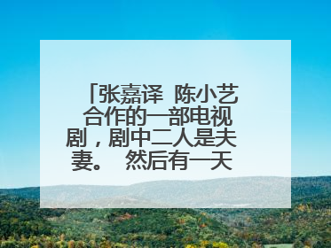 张嘉译 陈小艺 合作的一部电视剧，剧中二人是夫妻。 然后有一天晚上，在车里张嘉译扮演的角色和同车一个少