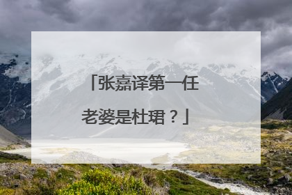 张嘉译第一任老婆是杜珺？