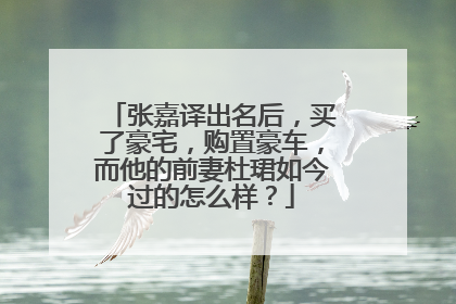 张嘉译出名后,买了豪宅,购置豪车,而他的前妻杜珺如今过的怎么样?