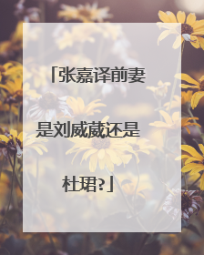 张嘉译前妻是刘威葳还是杜珺?