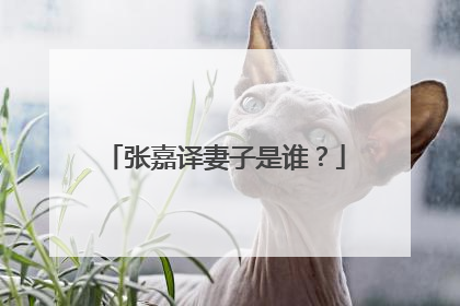 张嘉译妻子是谁？