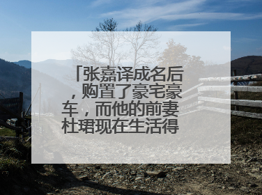 张嘉译成名后,购置了豪宅豪车,而他的前妻杜珺现在生活得怎么样呢?