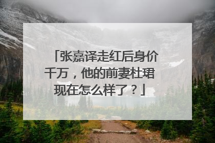 张嘉译走红后身价千万,他的前妻杜珺现在怎么样了?