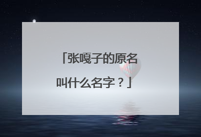 张嘎子的原名叫什么名字？