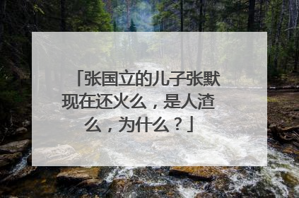 张国立的儿子张默现在还火么,是人渣么,为什么?
