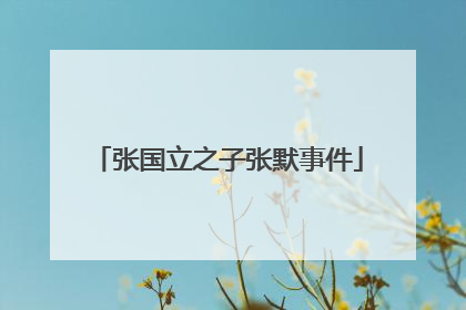 张国立之子张默事件