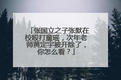 张国立之子张默在校殴打童瑶，次年老师黄定宇被开除了，你怎么看？