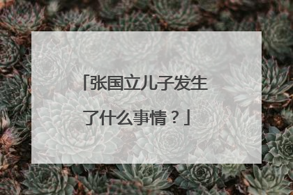 张国立儿子发生了什么事情?
