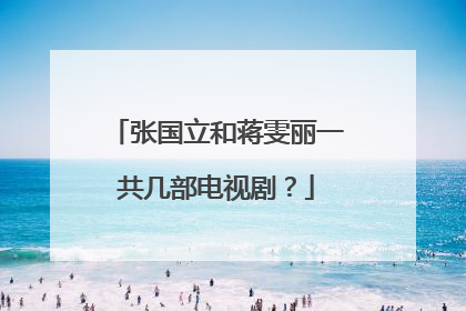 张国立和蒋雯丽一共几部电视剧？