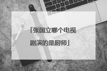 张国立哪个电视剧演的是厨师