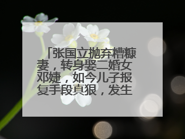 张国立抛弃糟糠妻,转身娶二婚女邓婕,如今儿子报复手段真狠,发生了什么?