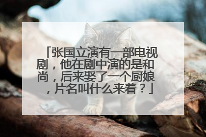 张国立演有一部电视剧,他在剧中演的是和尚,后来娶了一个厨娘,片名叫什么来着?