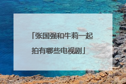 张国强和牛莉一起拍有哪些电视剧