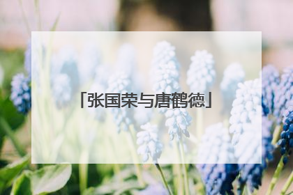 张国荣与唐鹤德