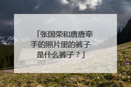 张国荣和唐唐牵手的照片里的裤子是什么裤子?
