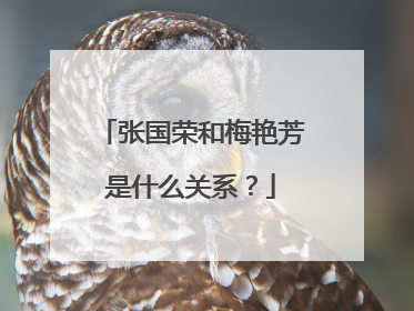 张国荣和梅艳芳是什么关系?