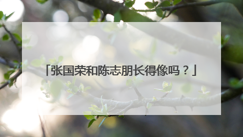 张国荣和陈志朋长得像吗？