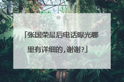 张国荣最后电话曝光哪里有详细的,谢谢?